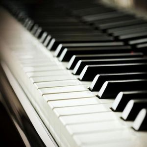 日木女性与动交zoz0z
