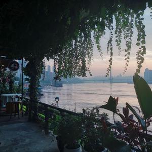 日木女性与动交zoz0z
