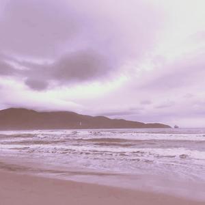 日木女性与动交zoz0z
